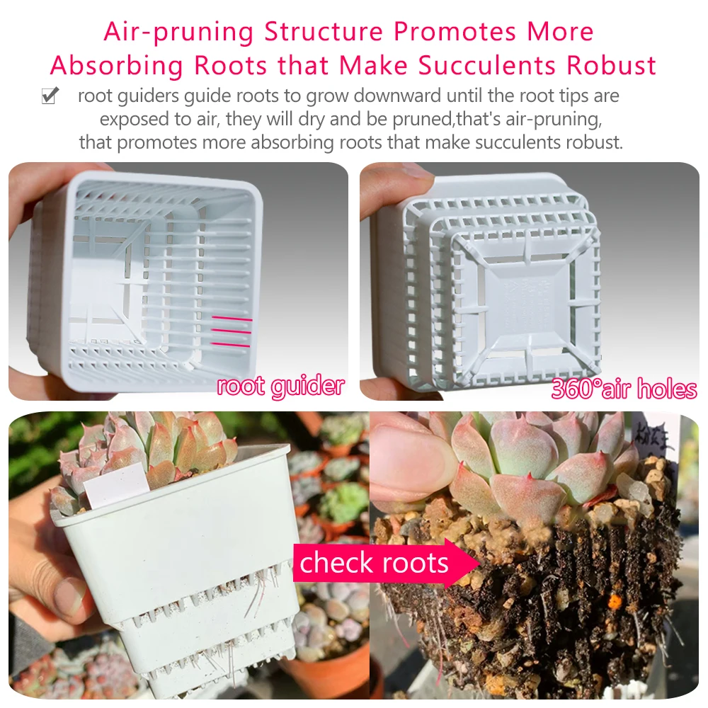 Meshpot 110 pcs 6cm Succulent Square Pot with Air Holes Cactus Planter Plants Nursery Pots