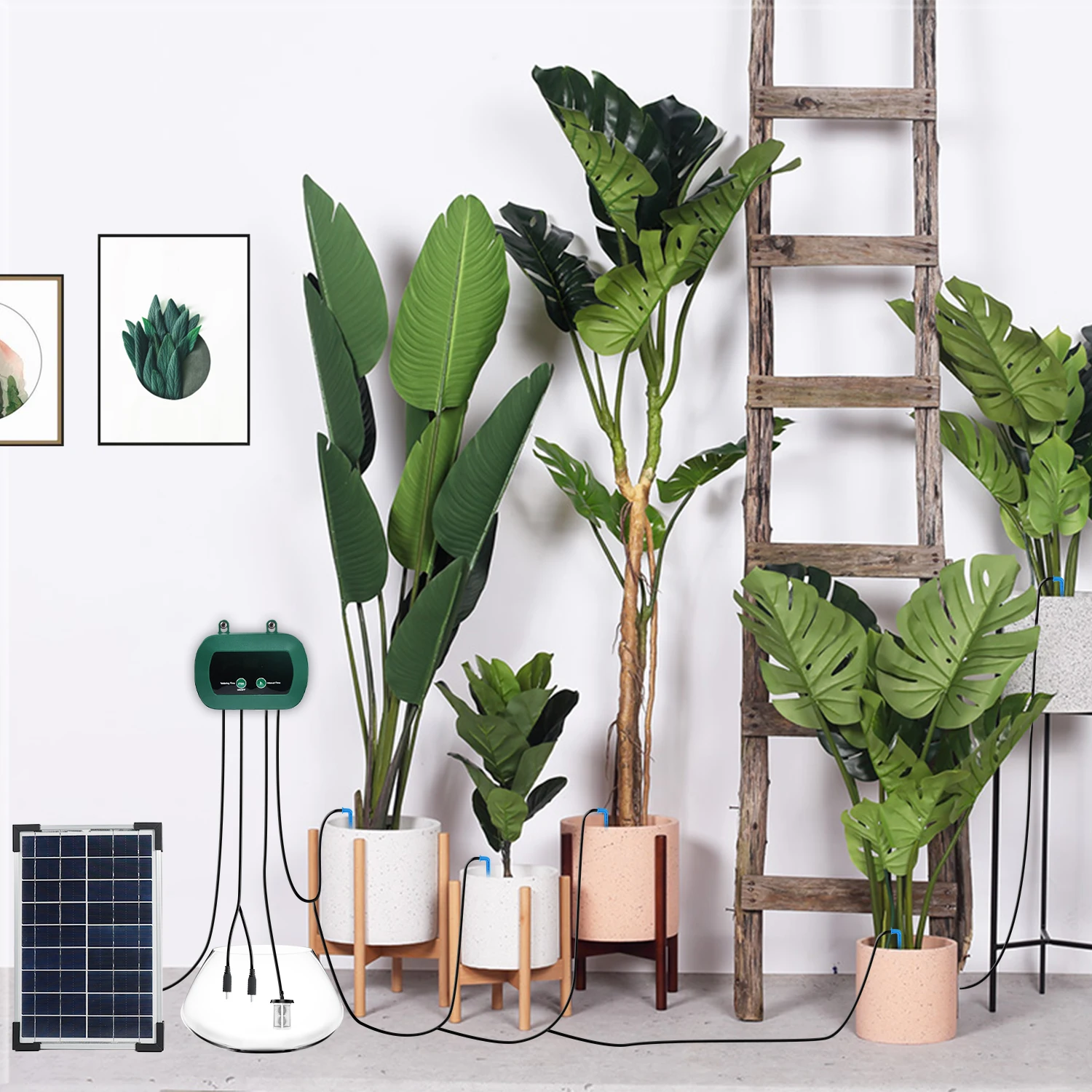 Solar Hydroponics Equipment  M - Smart Garden Solar ulasan dan harga