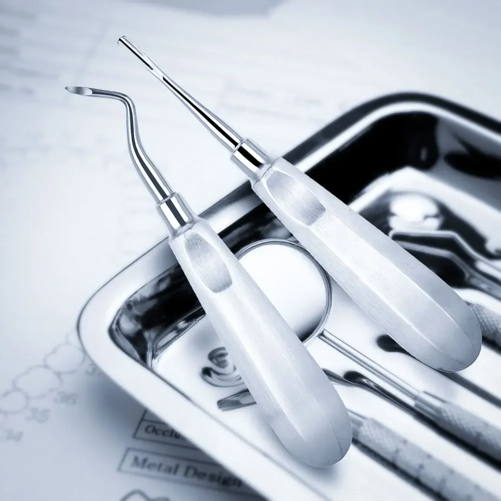 Dental Elevator Stainless Steel Teeth Extraction Tools Kit Stright Curved Root Elevator Dentist Tools 12PCS/Set