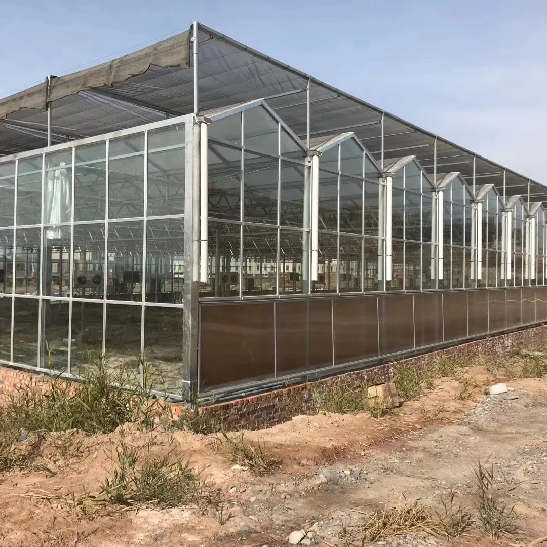 

Customized greenhouseVenlo Type Agricultural Glass Greenhouse with Tempered Glass & Hot-Dip Galvanized Steel Frame for Vegetable