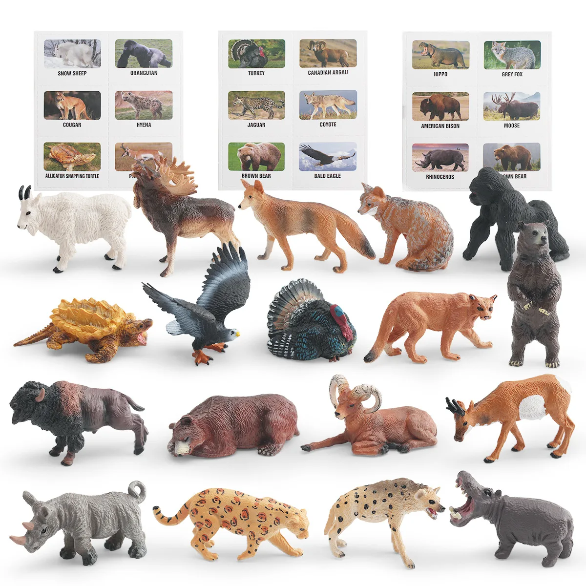 Cross-border simulated wildlife model snapping turtle orangutan brown bear turkey coyote Canadian argali children's toys