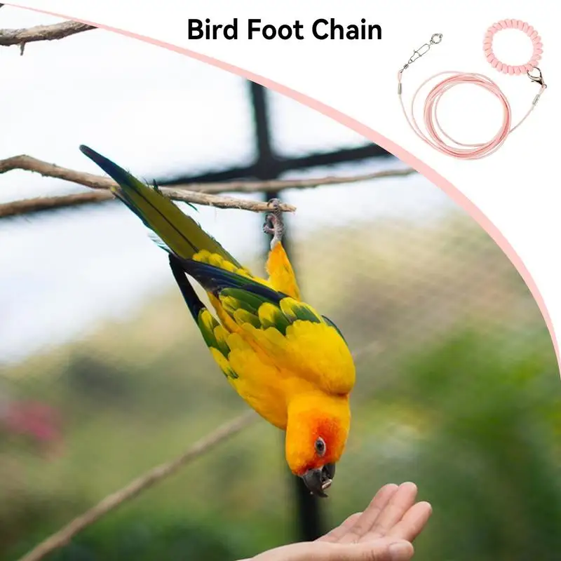 Bird Flying Rope Lightweight Pet Parrot Rope For Outdoor Flying Biting-Resistant Bird Training Toy With Ankle Foot Ring For