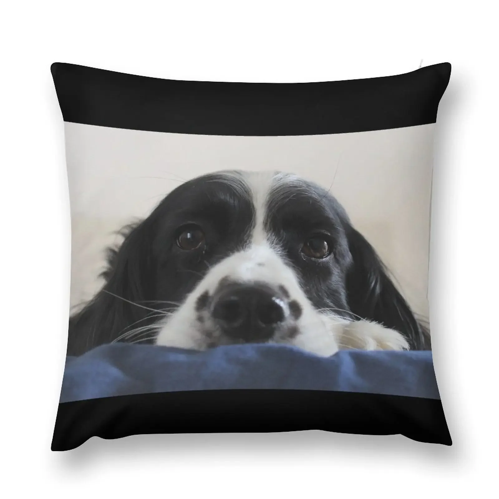 English Springer Spaniel Dog Throw Pillow Sofa Cushion Cushion Cover pillow