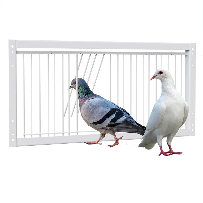 1 Pc Stainless Steel Dovecot Trap Door Pigeon Door Wire Frame Entrance Loft Supplies Racing Bird Catching Cage Nest Door Curtain