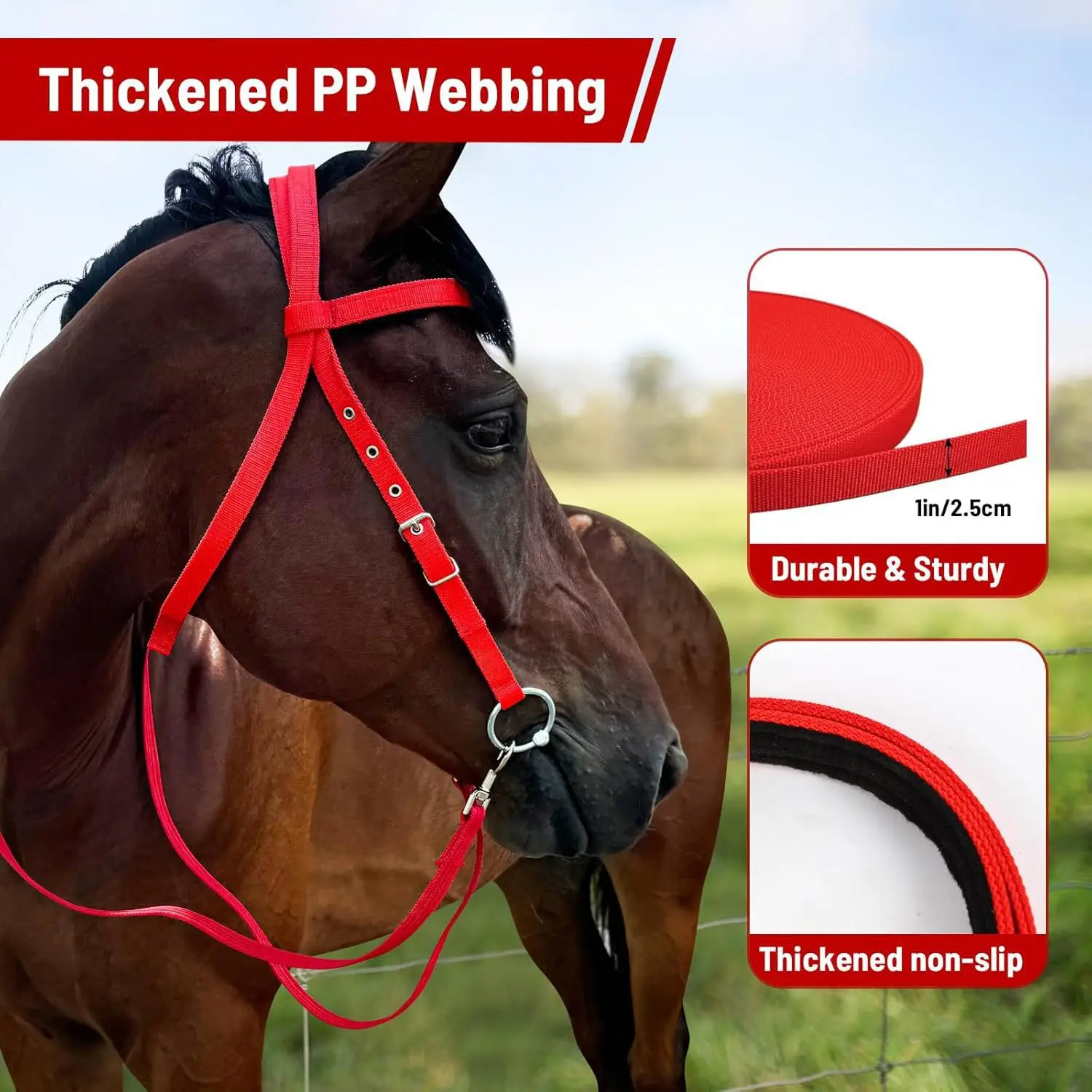 Genuine Leather Anatomical Nylon Horse Bridle and Halter Adjustable Embossed Horse Equipment