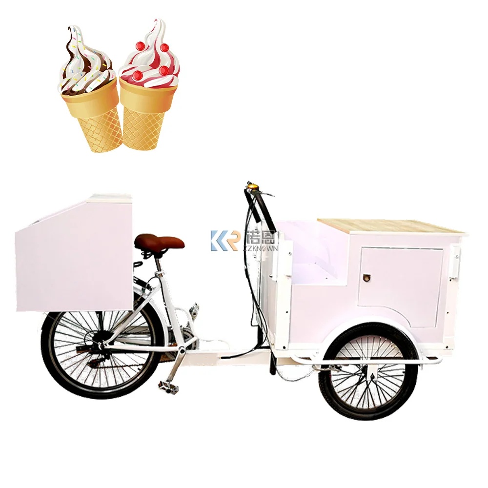 250W 36V 3 Wheel Electric Tricycle Cargo Mobile Food Bike Outdoor Use Delivery Goods