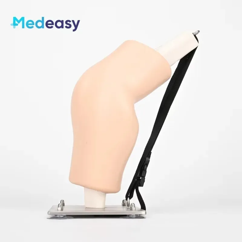 Hot Sale Simulated Arthroscopic Simulator Knee Joint Model for Inspection and Training