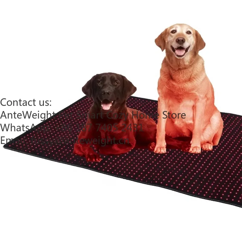 60*60cm Infrared Red Light Therapy Device for Pets LED Source 660nm 850nm Wavelength Body Pain Relief PDT Machine for Dogs Cats