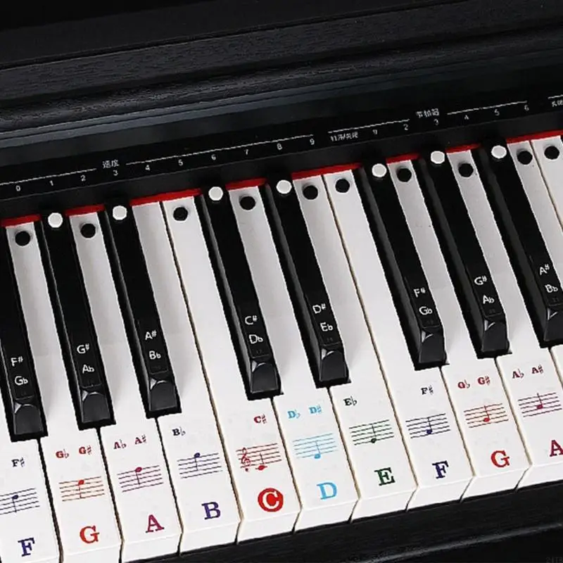 88 61 54 Piano Keyboard Stickers Keyboard Labels with Staff Notation