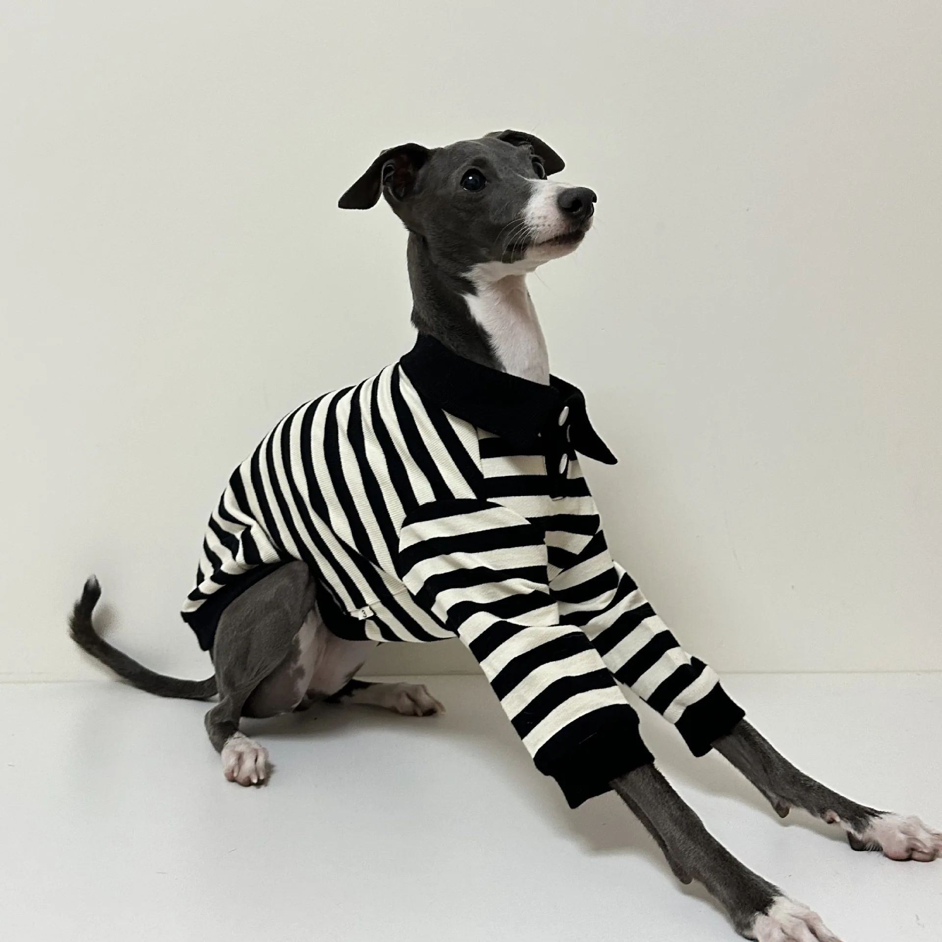 Pet cotton striped polo shirt comfortable stretch dog t-shirt suitable for Italian Greyhound Whippet puppy clothes