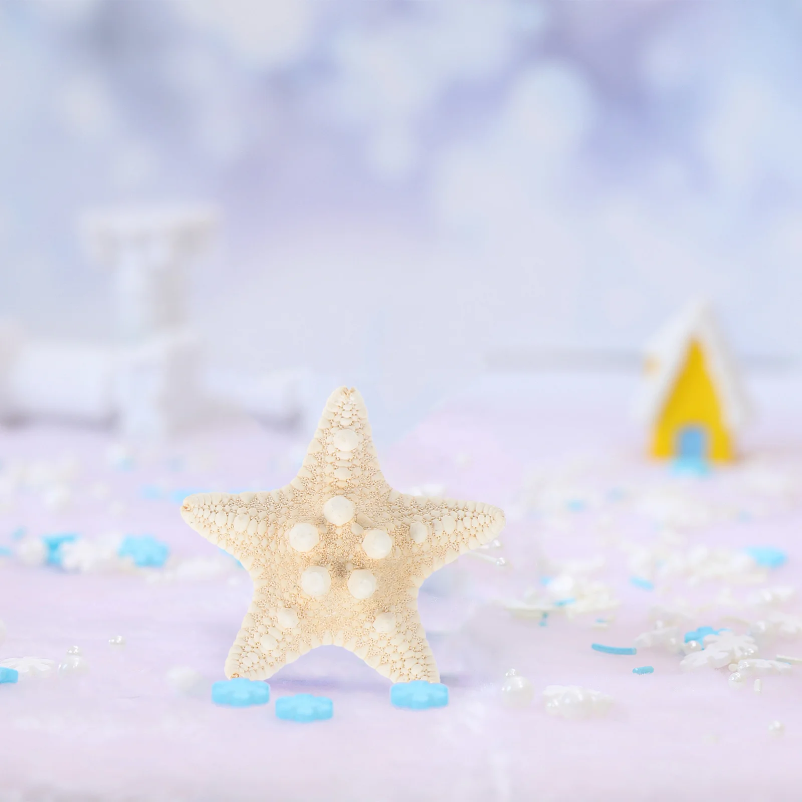 

2Pcs Natural Sea Star Craft Charms Compact DIY Decoration Material for Fish Tank Aquarium Miniature Garden Vase Filling