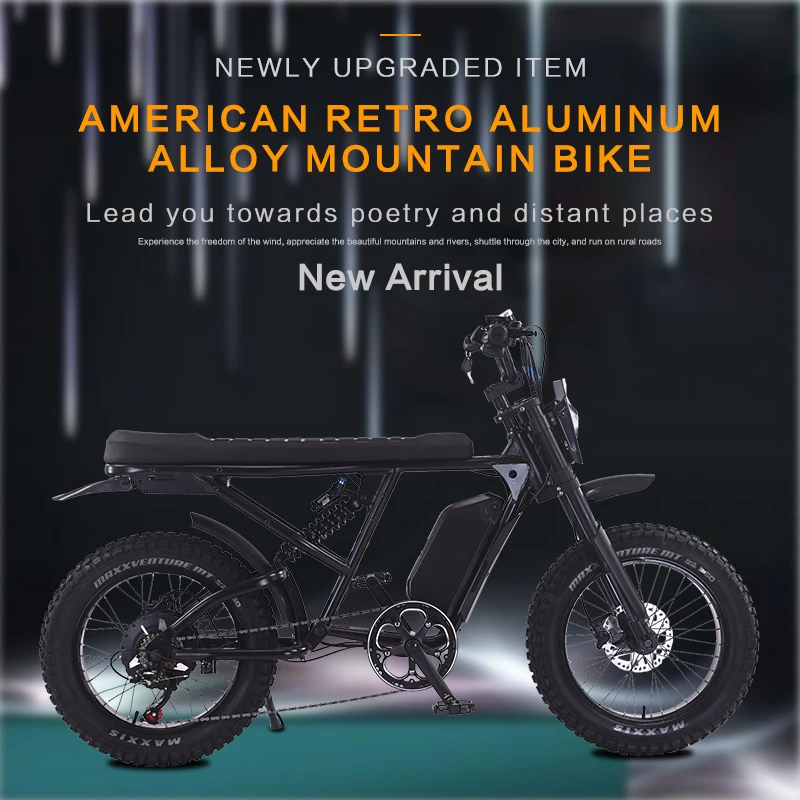 RX AKEZ Retros tyle Electric bike 1500W motor 48V18Ah battery e bike 50km/h 20 inch tire off road ringing Electric Bicycle image 7