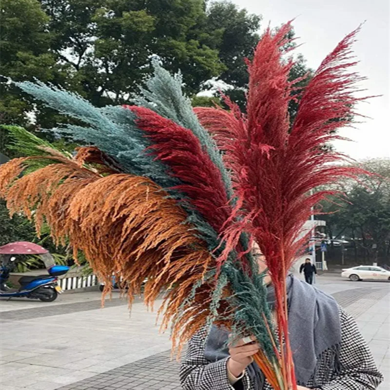 Large Dried Flowers Pampas Grass Tall,Boho Home Decor,Natural Pompas Floral for Wedding  Party  Arrangement Living Room Decor