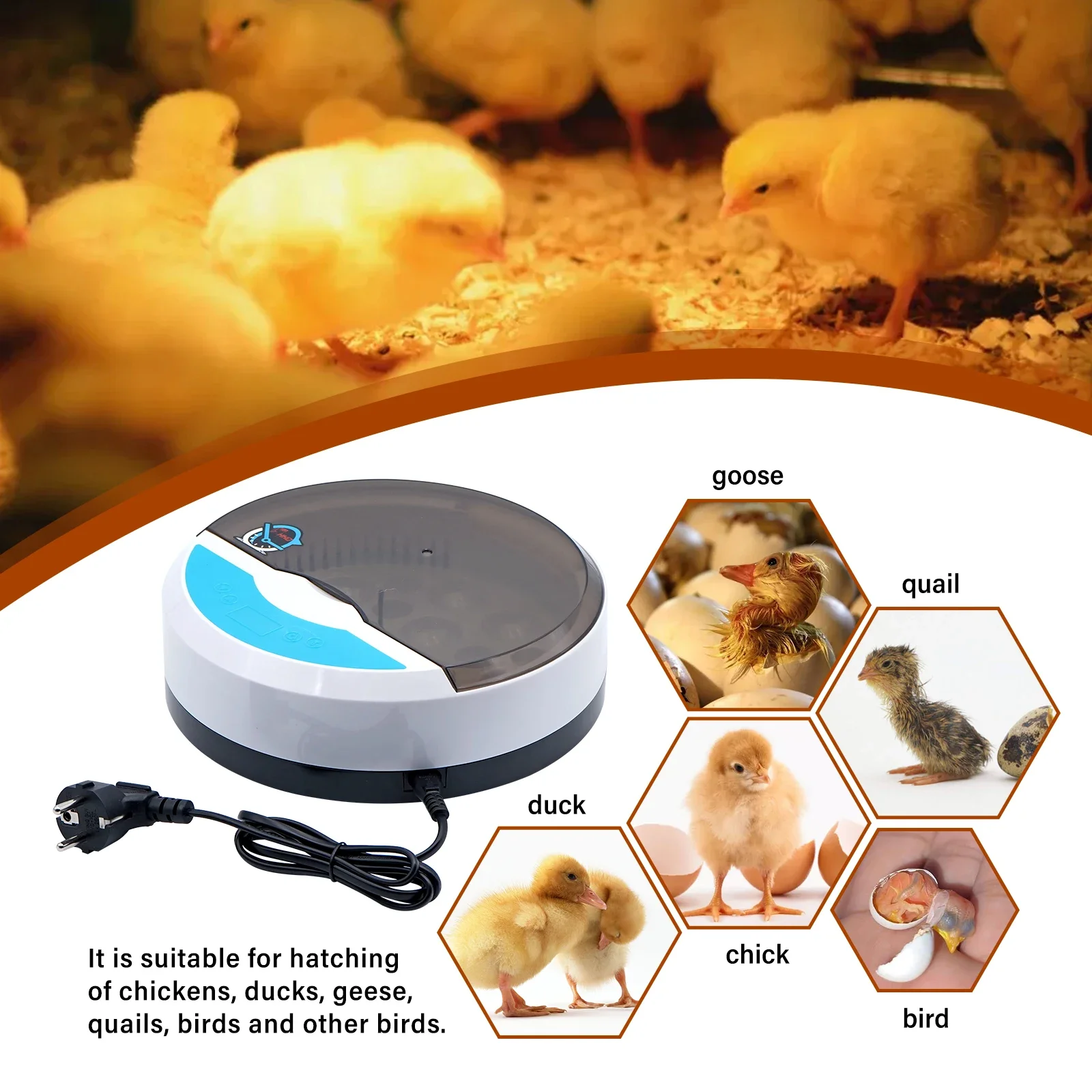 9 Mini Eggs Incubator Brooder Bird Quail Chick Hatchery Incubator Poultry Hatcher LED Temp Control Home Farm Incubation Tools