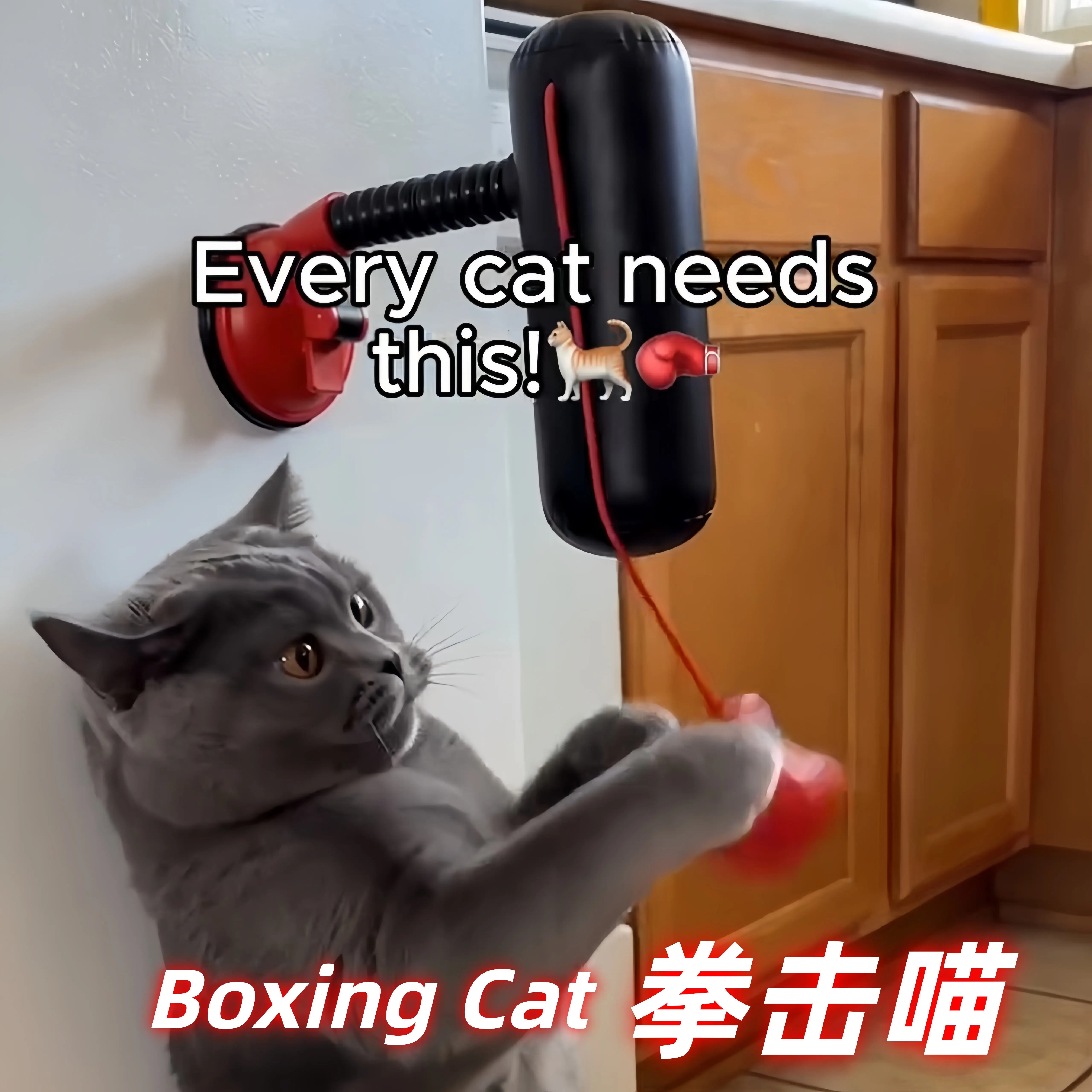 ZHAYA Jouet de combat pour cha - Boxing Bag Stand avis et prix