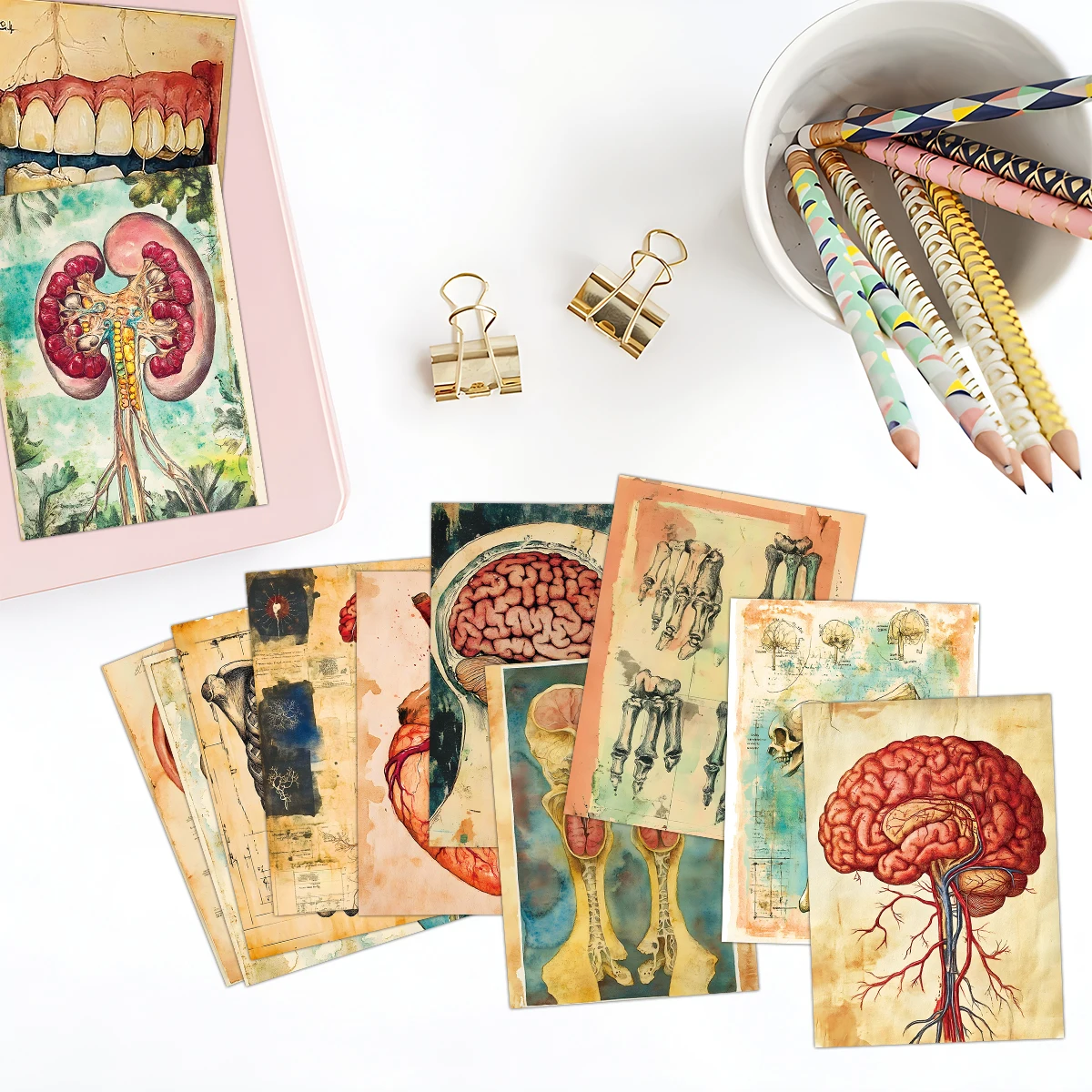 60개 빈티지 해부학 저널링 엽서, 생물학 콜라주 카드 선물, 스크랩북, 방, 사무실, 실험실 벽 장식용