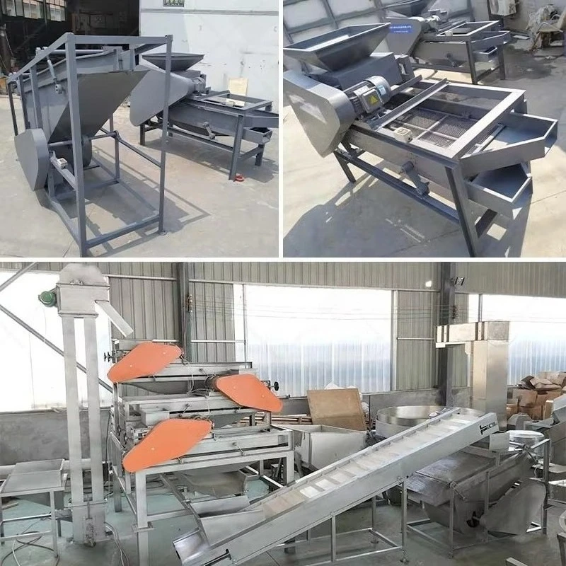 Argan Automatic Vibrating Screen Nut Cracking and Sorting Hazelnut Separator Almond Husk Remove Machine