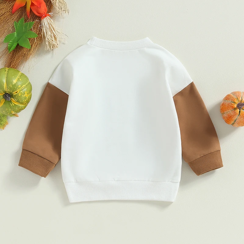 Toddler Halloween Sweatshirts Long Sleeve Pumpkin Bat Print Pullovers Baby Boy Girl Clothes Costume Outfit for Kids