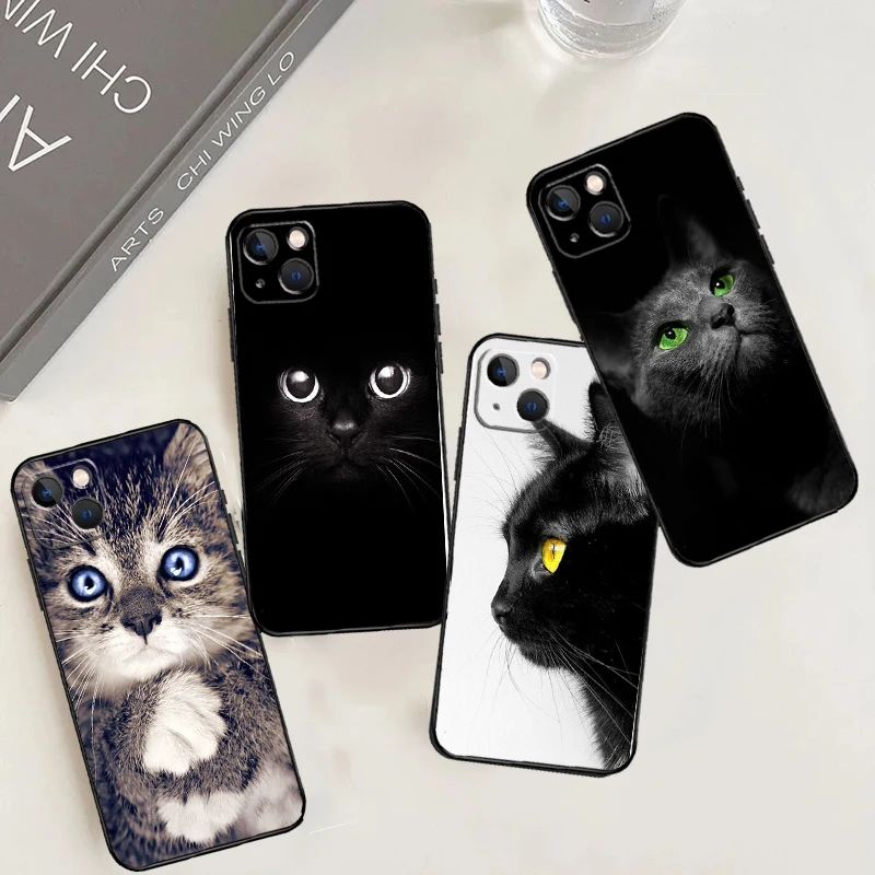 Black Cat Staring E… - image