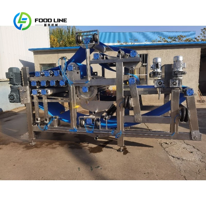 Belt Type Fresh Fruit Press Extractor Filter Machine Customized High Output Stainless Steel Fruit Juice Processing Equipment