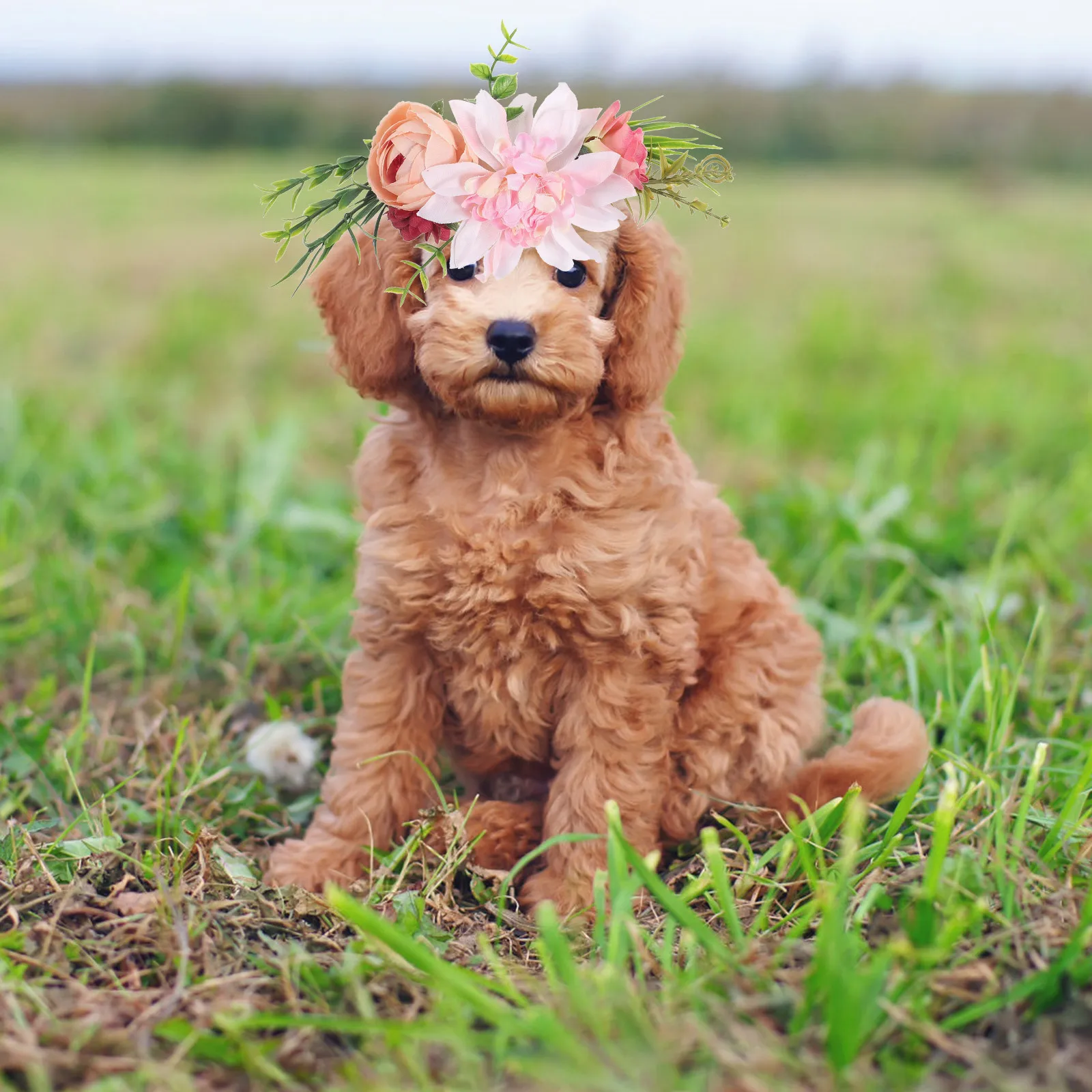 

Pet Headwear Artificial Flower Circle European American Style Adjustable Headband Chest Flower Dual Function Dog Cat Dress Up