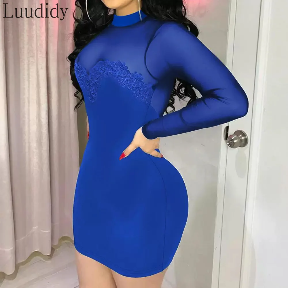 Women Sexy Solid Color Sheer Mesh Spliced Lace Decor Skinny Mini Dress