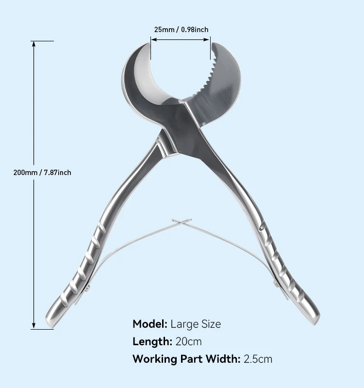 AZDENT Dental Gipsschere Schere Edelstahl Pinzette Instrument Gips Gips Zange Zahnmedizin Zahnarzt Labor Werkzeuge – Detail 3