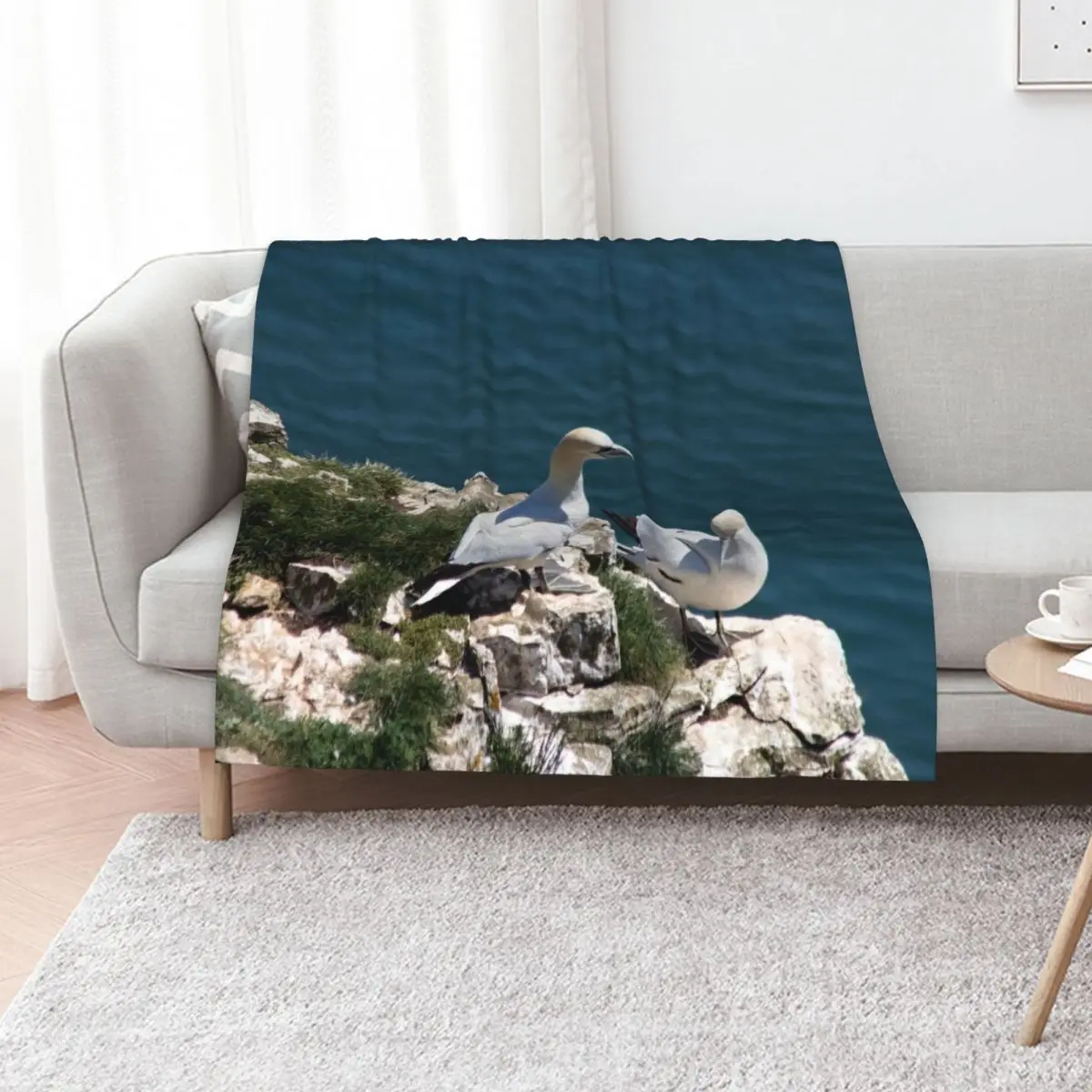 Pair of gannets at Bempton Cliffs Throw Blanket Blankets For Sofas Camping Thin Plush Warm for babies Blankets