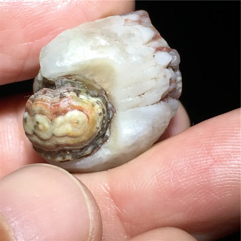 Mongolian Pretty Colored Relief Original Stone Beads Alxa Gobi Agate Stone Surface Eye Stone  Beads for Jewelry Making - view 3