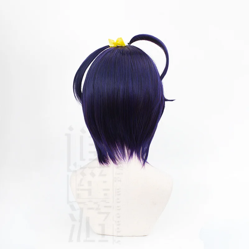 Takanashi Rikka Cosplay Wig Anime Love, Chunibyo & Other Delusions 30CM Heat Resistant Synthetic Hair Halloween Party COS Wigs