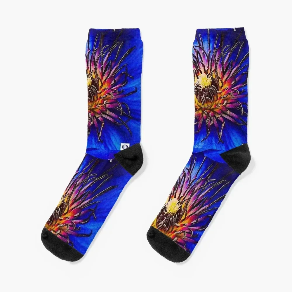 Spider Flower Socks sheer funny gifts Ladies Socks Men's