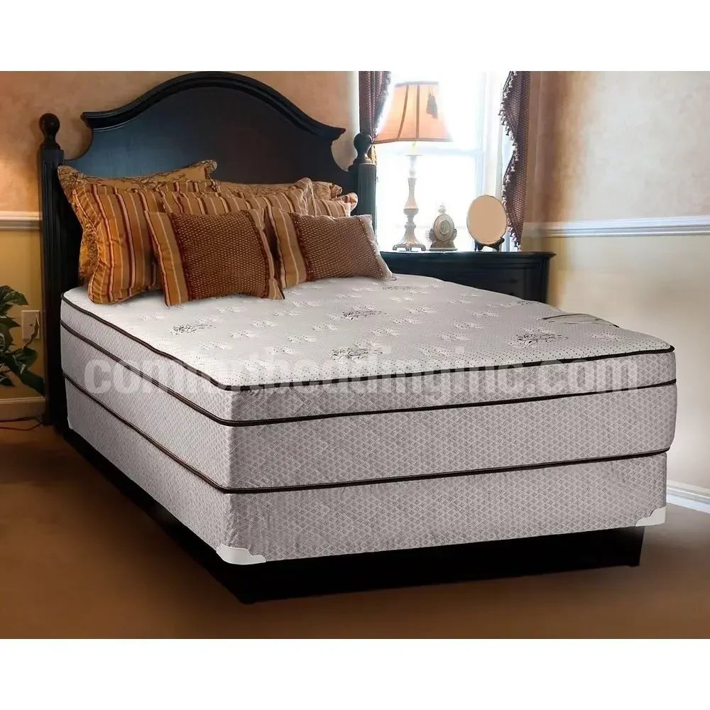 Luxurious Euro Top Queen Mattress with Box Spring Set