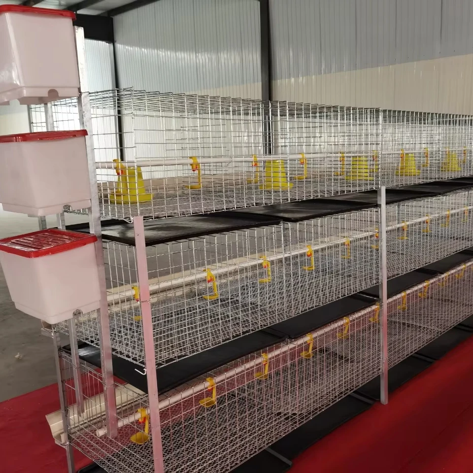 

Portable Easy-to-assemble Chicken Cage for 0-day-old Chickens New Condition Farm Baby Chick Tray