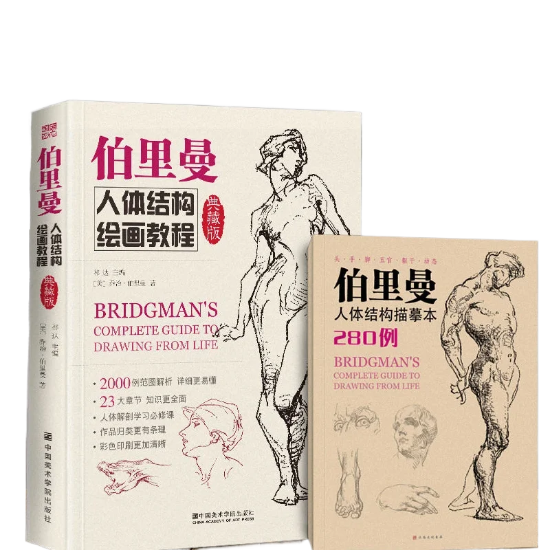 Bridgman Human Body Structure Sketching Textbook Self-study for Beginners in Drawing of Character Absolute Beginners Art Books