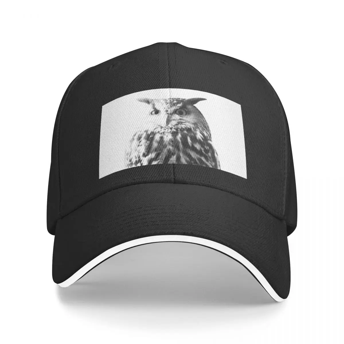 Uil Op Wit 1 Dier Decor Kunst Baseballpet Nieuwe Papa Hoed Zomer Vrijetijdstrucker Pet Unisex Snapback Hoeden Gorras