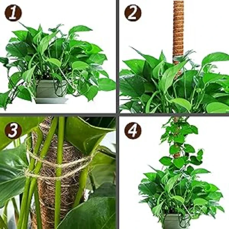1/2/6pcs Plant Climbing Pole, Bendable Coconut Brown Stick, Plant Climbing Rattan Column Gardening Plant Support Rack