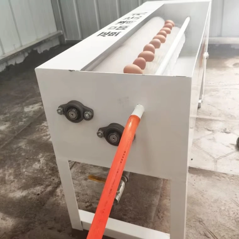 Egg Washing Machine  Duck / Quail Egg Cleaning Machine Goose Egg Salted  Desilter