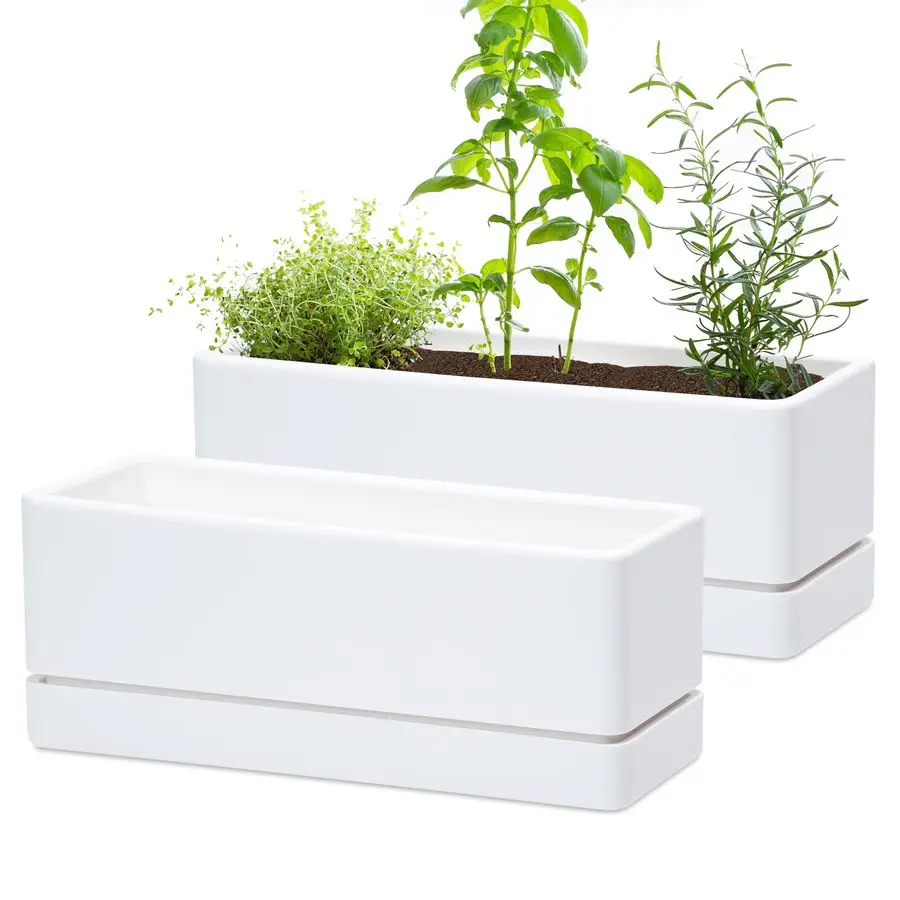 

12 Inch Window Box Planter, Rectangle Plastic Herb Planter with Drainage Holes and Saucer, Indoor Succulent Cactus Vegetable