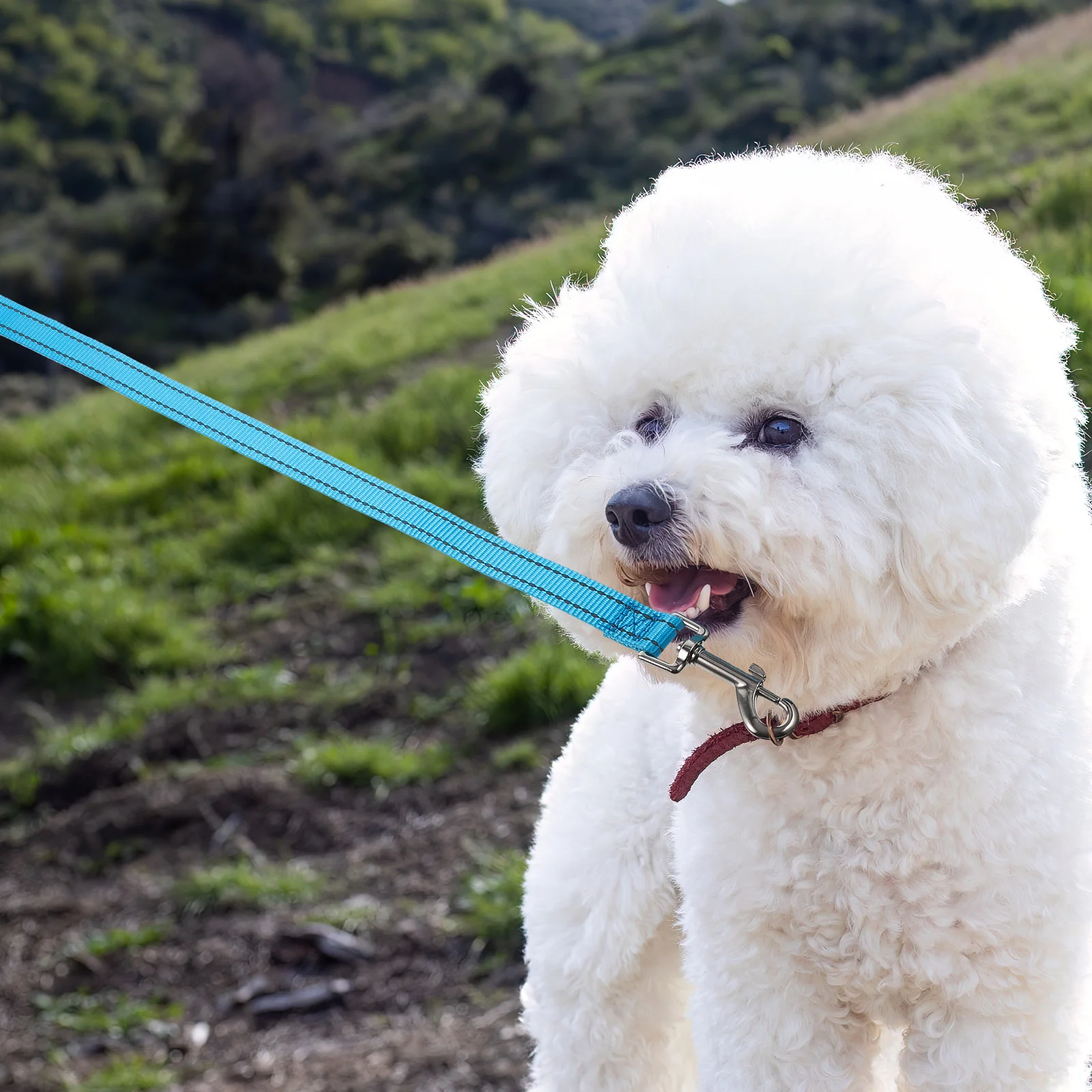 

Reflective Dog 20mm x 120cm Heavy Duty Nylon for Small Medium Leash For Medium Dog Large Dogs Walking Training Pet Supplies