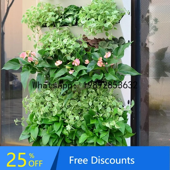 Plant Wall Flower Pot Real Green Plant Wall Decoration  Partition Living Room Light Luxury Creative Wall Hanging Flower Stand