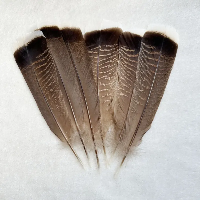 Natural Turkey Tail Feather 25-30CM/10-12inch For Headwear Clothing Hats Party Plumas DIY Carnival Wedding Decoration