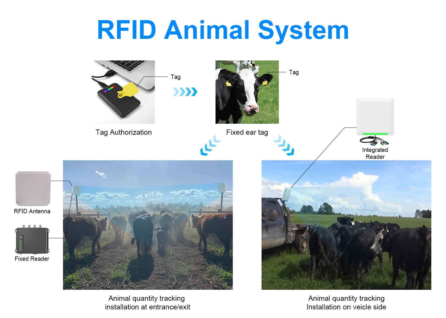 RFID Animal Management Solution With Handheld Reader Antenna And Tags Free SDK-Access Control Product