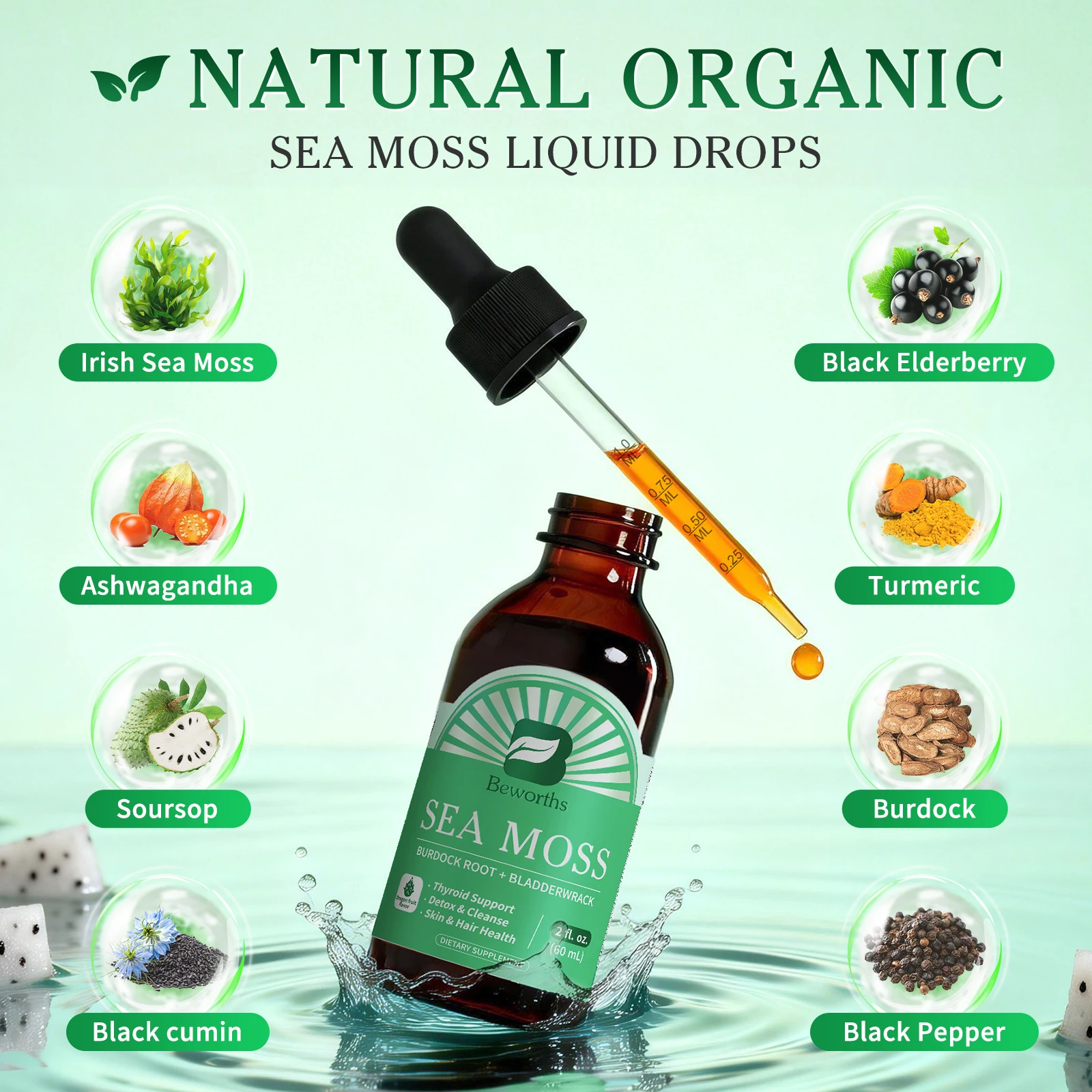 BEWORTHS 60ML Organic Sea Moss Extract Ashwagandha Drops Support Immunity and Digestive Health Thyroid & Joint Support