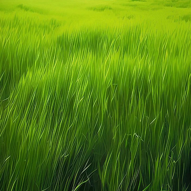 

T-HOBBY F1408 II Cinewhoop Motor 2800KV 4-6S 3950KV 3-4S Brushless Motor Light Motor Super Power for FPV 3-4inch Racing Drone