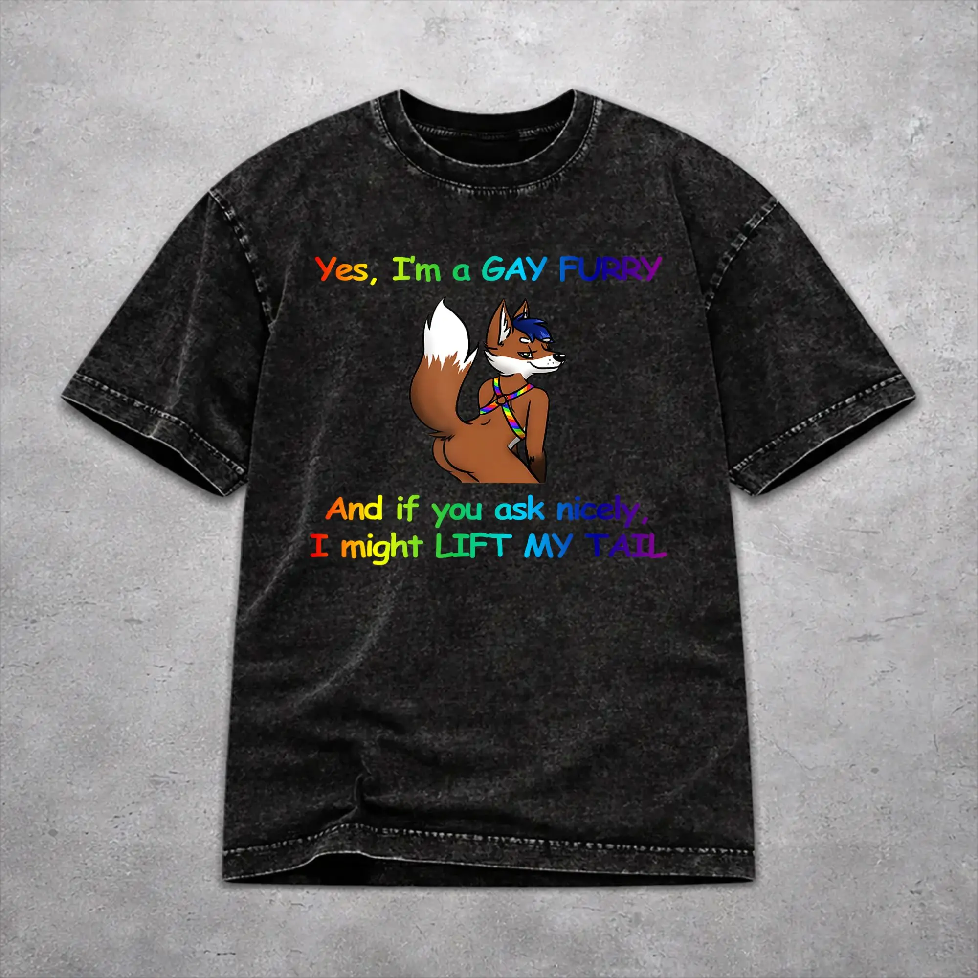 I’m A Gay Furry and If You Ask Nicely I Might Lift My Tail  Merch Washed T Shirts Men Women Streetwear T-Shirts Printed  Tees