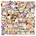 50pcs