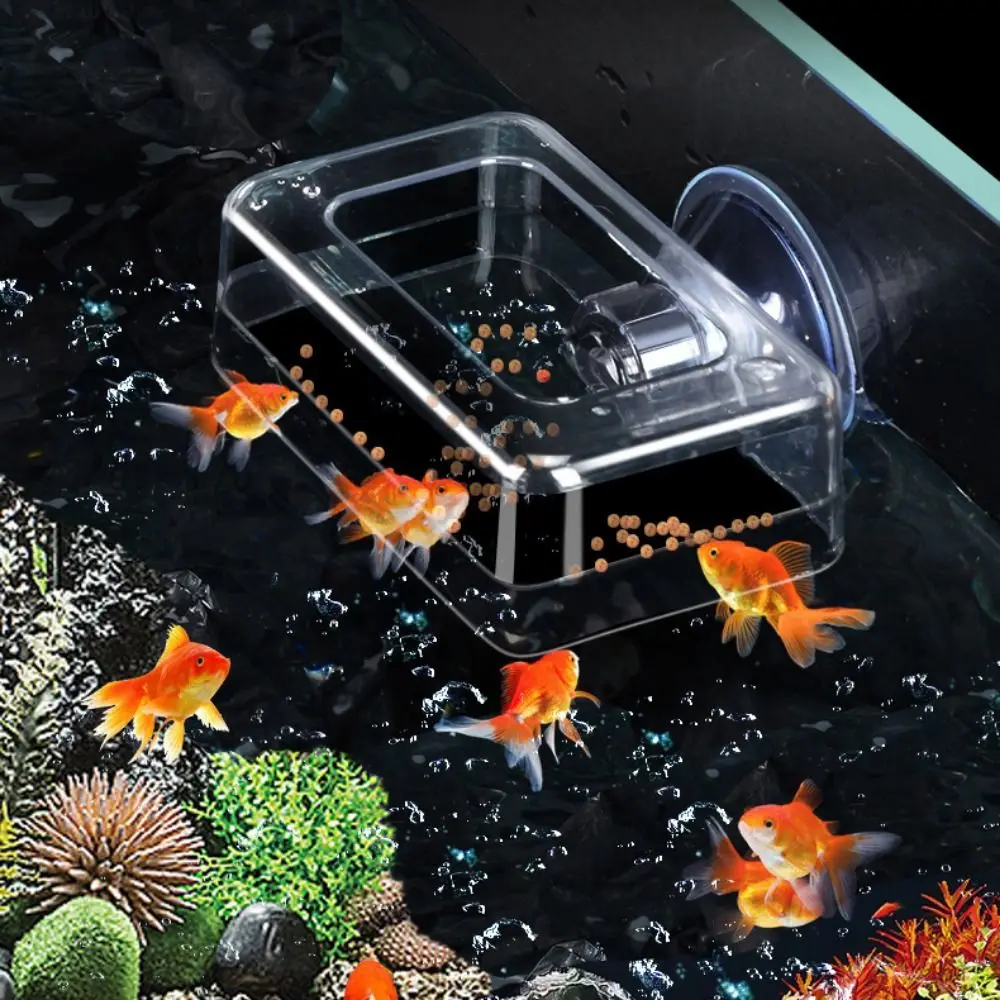 fish tank accessories all animal food Aquarium Decorations Set, Decor with Artificial Plants and Resin Ornaments, Betta Fish Tank for Small Tanks, Soft Safe Plastic Plants with Hideout Cave Dcor(Ornaments set #2) and other foods near the surface for less mess. Fish Tanks Aquariums Pet Food