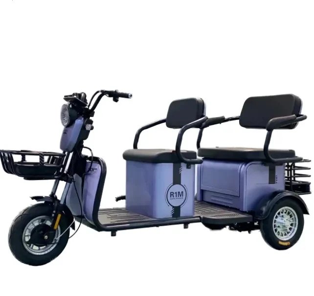 

Adult Leisure Electrical Tricycle for 3 Person Disabled Electric Tricycle Scooter