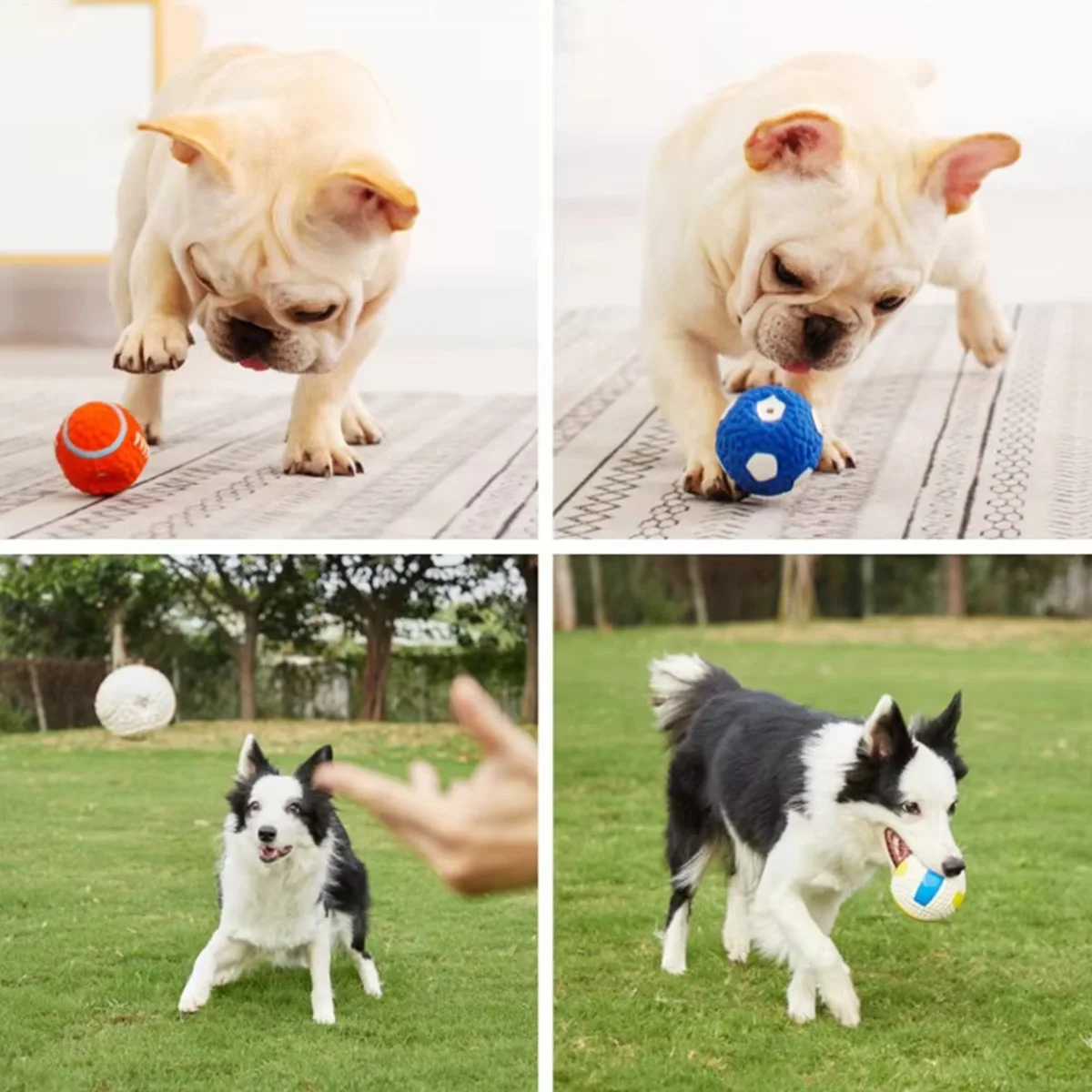 Interactive Dog Ball Toy for Entertainment and Training Bite-Resistant Latex Dog Chewing Toy for Tooth Cleaning Pet Toy for Dogs