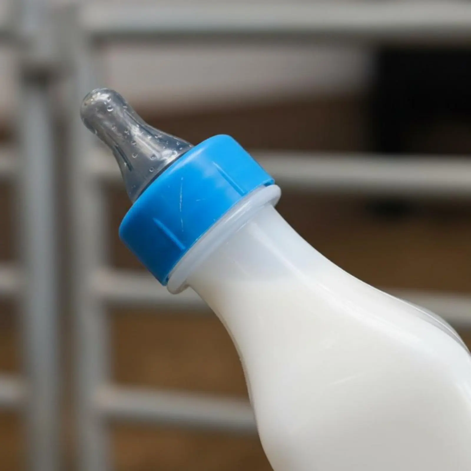biberon-para-cabritos-facil-de-limpiar-biberon-para-corderos-alimentador-colgante-para-corderos-alimentador-colgante-para-ganado-de-gran-capacidad